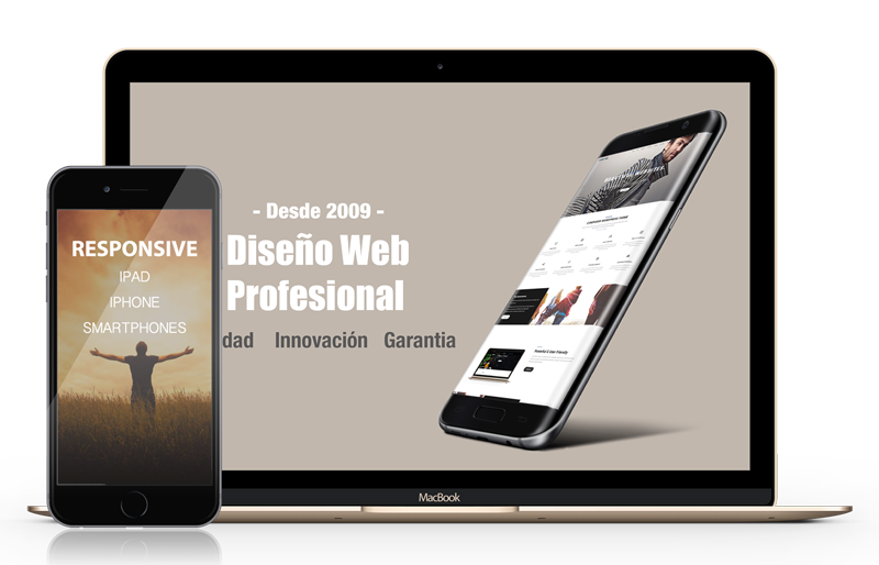 diseño web profesional