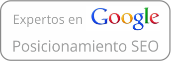 expertos en posicionamiento seo paginas web en Google ciudad_real